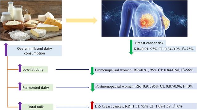 "유제품 섭취, 유방암 위험 낮춘다"