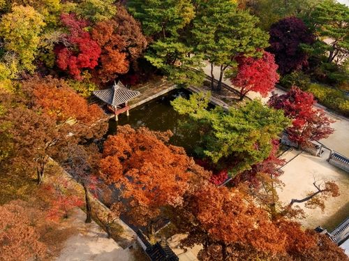 애련지 일원과 연경당