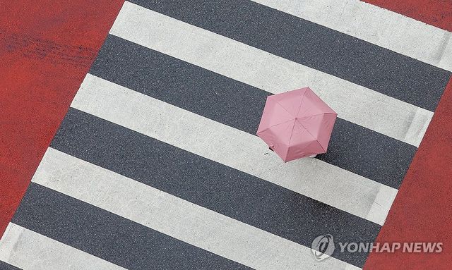 비 내리는 풍경