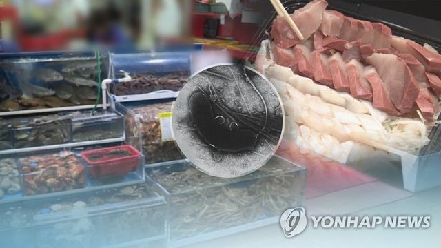 "비브리오균 조심"…만성질환자 어패류 섭취 주의(CG)
