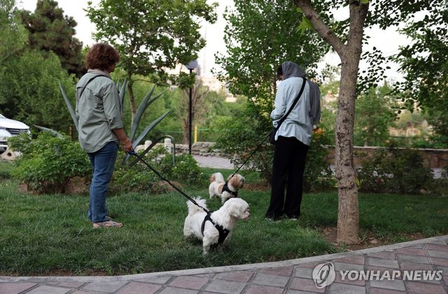 이란 테헤란에서 반려견 산책시키는 주민들