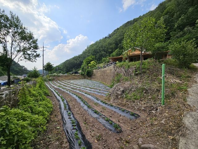 이재명 대통령 태어난 곳