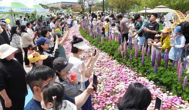함평 나비축제 모습