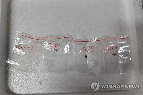 중국인 과학자가 밀반입 시도했던 독성 곰팡이 