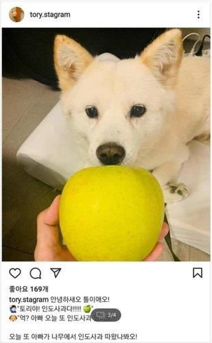 '전두환 옹호' 비판 속 개에 사과 건넨 윤석열