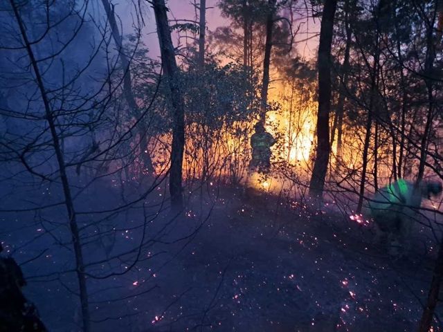 양구 산불 진화