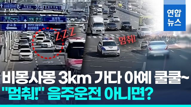 [영상] 도로 한복판 '쿨쿨' 운전자…1km 추격전, 잡고보니 '수면마취' - 2