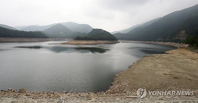 강릉시 상수원 저수율 29%…비와야 할 텐데