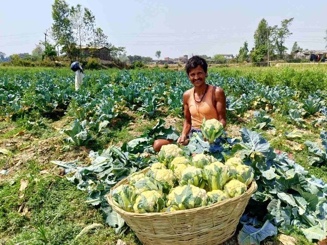 코이카, 네팔 기후위기 대응 사업 추진