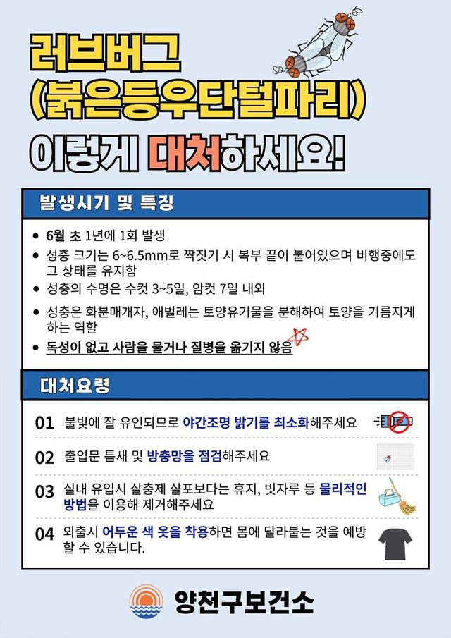 러브버그 대처방법