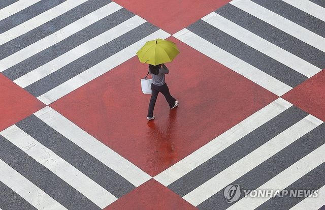 비 내리는 풍경