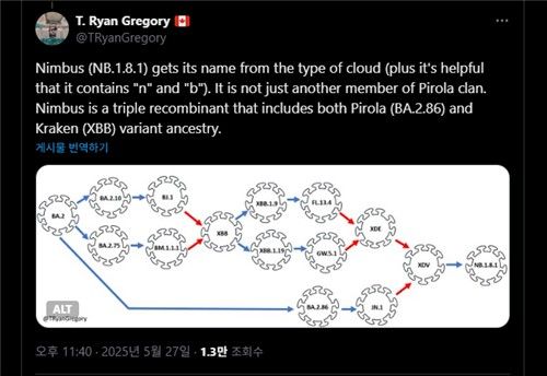 코로나19 '님버스 변이' 이름 유래 설명하는 게시물 