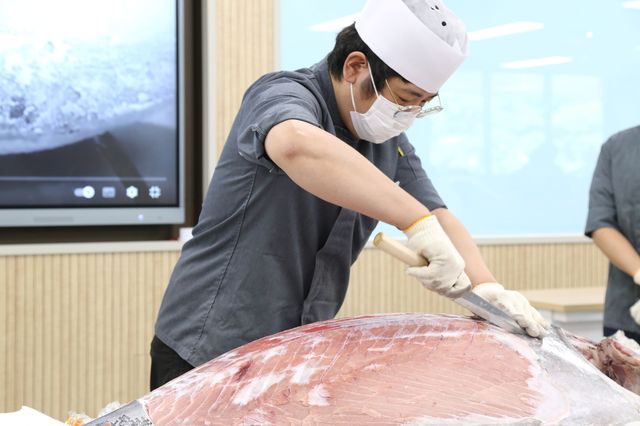 가톨릭관동대에서 열린 참치 해체 시연회