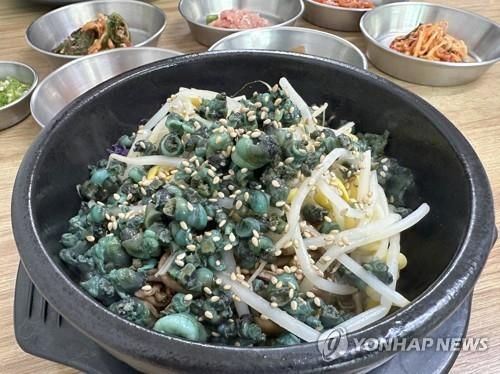 영월 음식점 다슬기 비빔밥