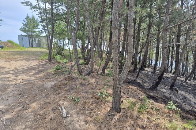 곤륜산 정상 부근에서 난 불 흔적