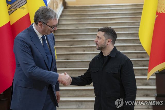 젤렌스키 대통령과 악수하는 부치치 대통령