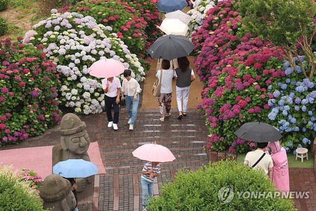 제주, 이른 장마 시작