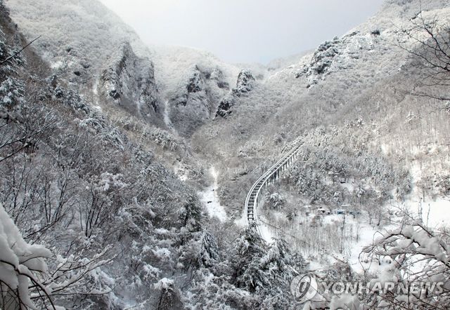 삼척 환선굴 '환상 설경'