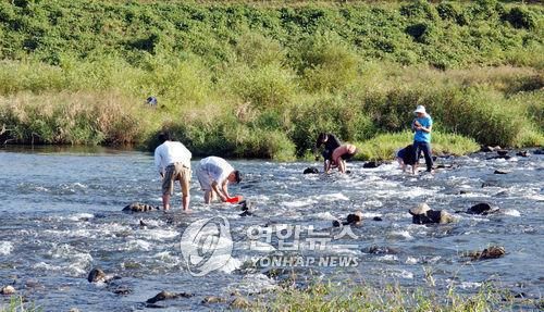 보성강서 다슬기 잡는 가족들