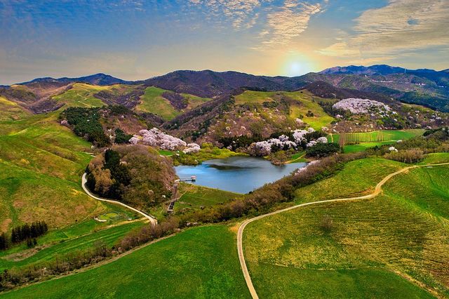 '아름다운 드라이브 길' 서산 한우목장 길