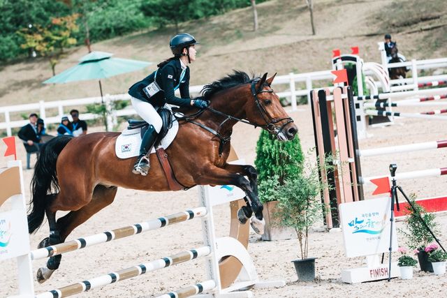 말레이시아로 수출된 승용마 케이스타