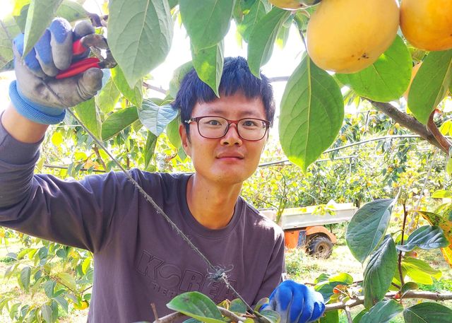 박문수 젊은농부농원 대표