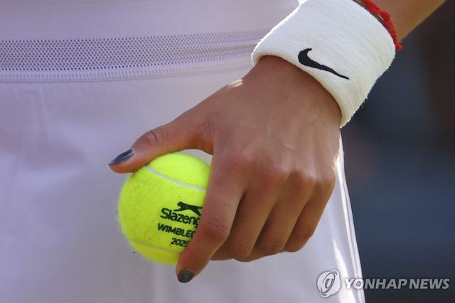 윔블던 테니스대회 공인구