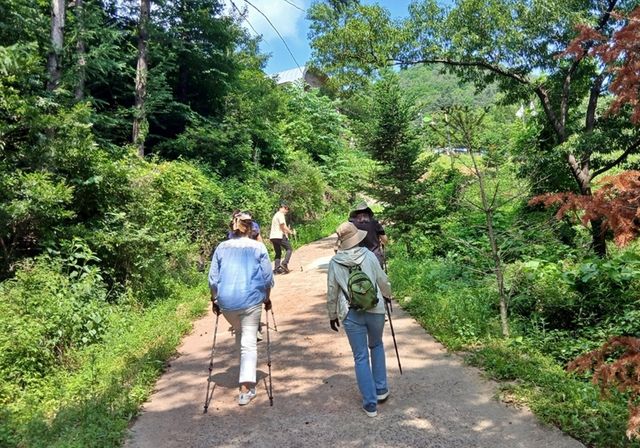 산림복지시설서 노르딕워킹 산림치유 프로그램 체험하는 건강보험 가입자