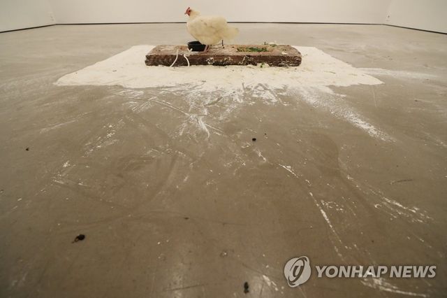 갤러리 다녀간 닭