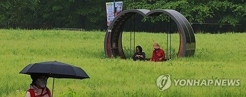 비 내리는 청보리밭