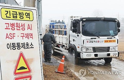 조류 인플루엔자 방역