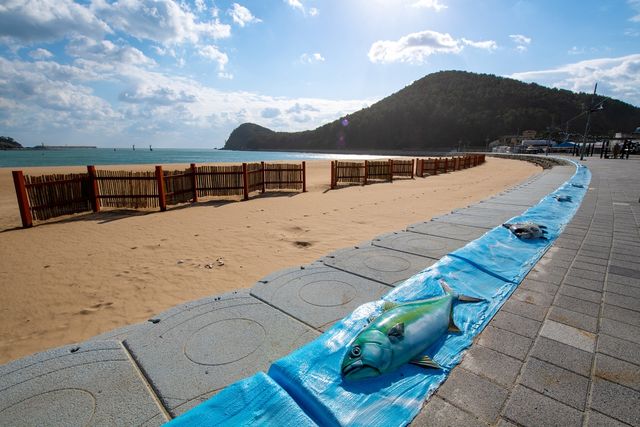 새롭게 개장 앞둔 다대포 동측해변 