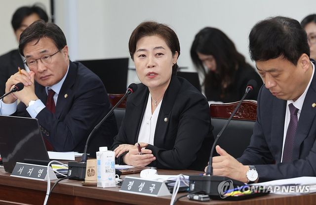 국민의힘 서지영 원내대변인
