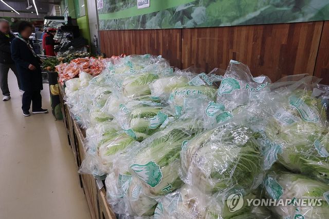 배추 판매대