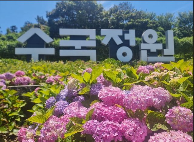 도초도 수국정원