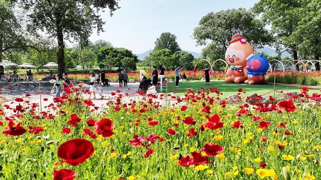 2025 자라섬 봄꽃 페스타