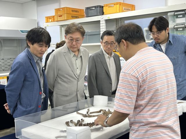 월성 출토 개, 유전자 분석·연구 어떻게?