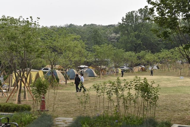초안산 캠핑장