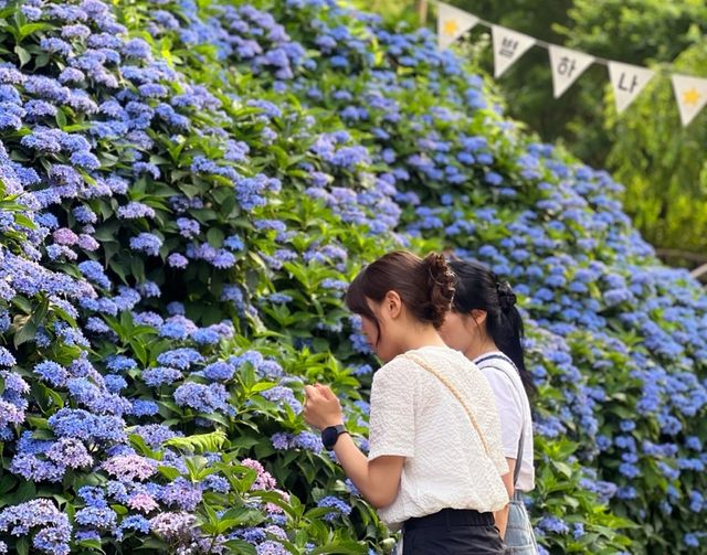 월아산 숲속의 진주