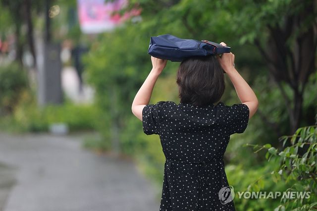 가방으로 막는 비