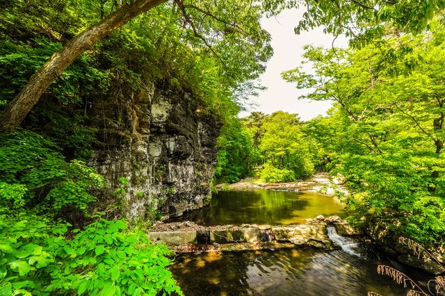 은해사 계곡[사진/백승렬 기자]