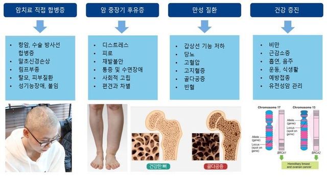 암생존자의 다양한 문제와 미충족 해결 필요