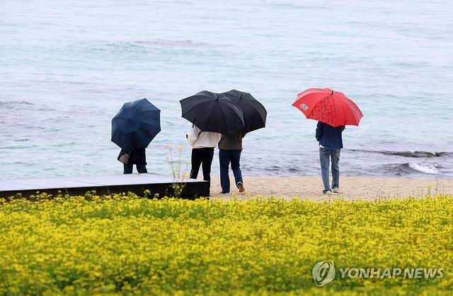 강릉 사근진해변