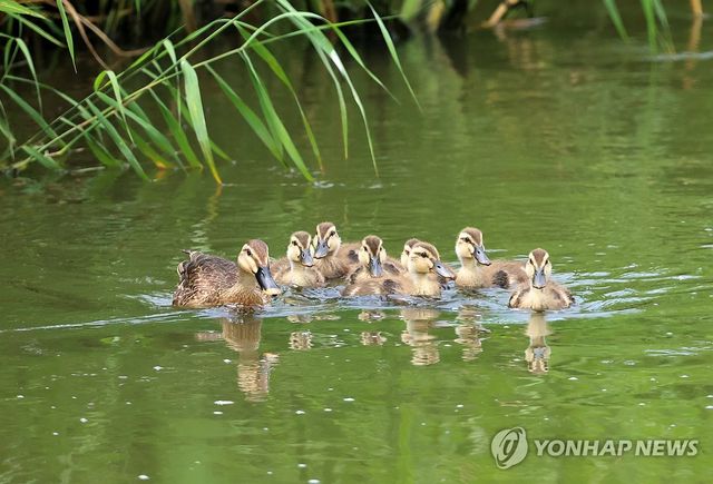 장마 오기 전에 안전한 곳으로