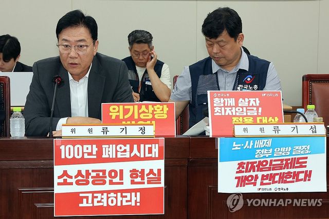 최저임금위, 발언하는 류기정 사용자위원