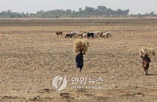 기후변화로 농경, 목축이 더욱 어려워진 말리의 2007년 모습.