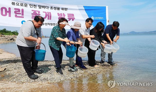 인천시 수산자원연구소 어린 꽃게 방류