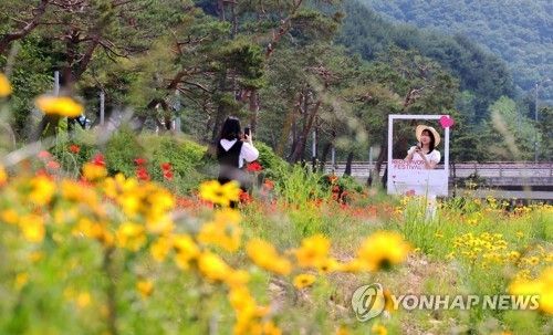 괴산 빨간맛페스티벌 축제장 
