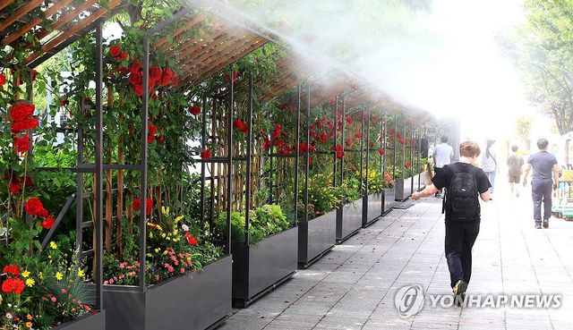 무더운 날씨…. 시원한 물안개길