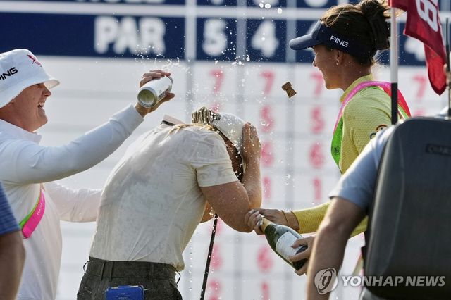 축하받는 스타르크